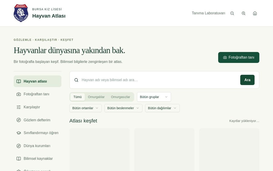 Hayvan Atlası web sayfası önizlemesi